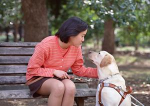 地域密着型！金町で信頼できる内科クリニックを見つけるための完全ガイド